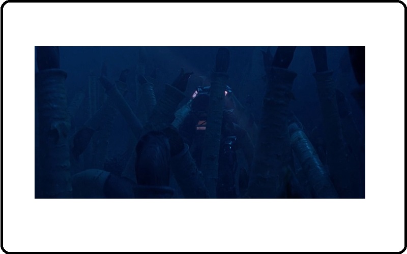 Five Ocean Films (You may not have heard of) To Watch This Weekend